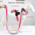 Pink-White Gradient Color Adjustable Mesh Dog Harness